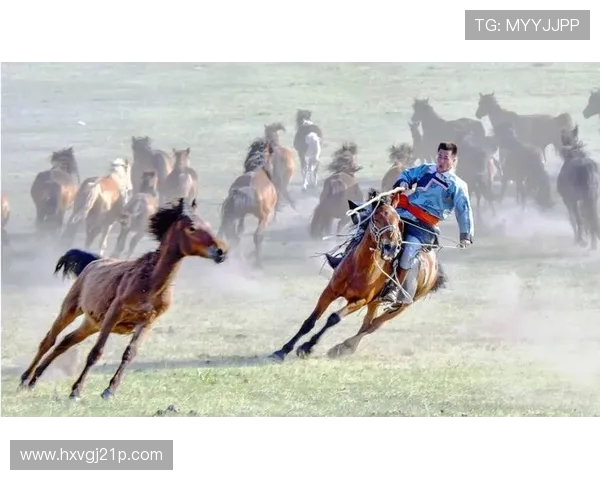 马背天骄:锡林郭勒草原驯马人的传奇与传承(2) 马背天骄:锡林郭勒草原驯马人的传奇与传承(2)